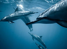 开云APP：云端生活的新起点